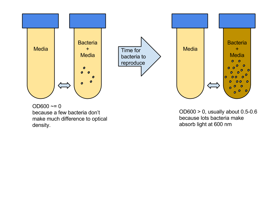 Make much difference. Od600. Optical density od. Od600 оптическая плотность. Optical density measured in.
